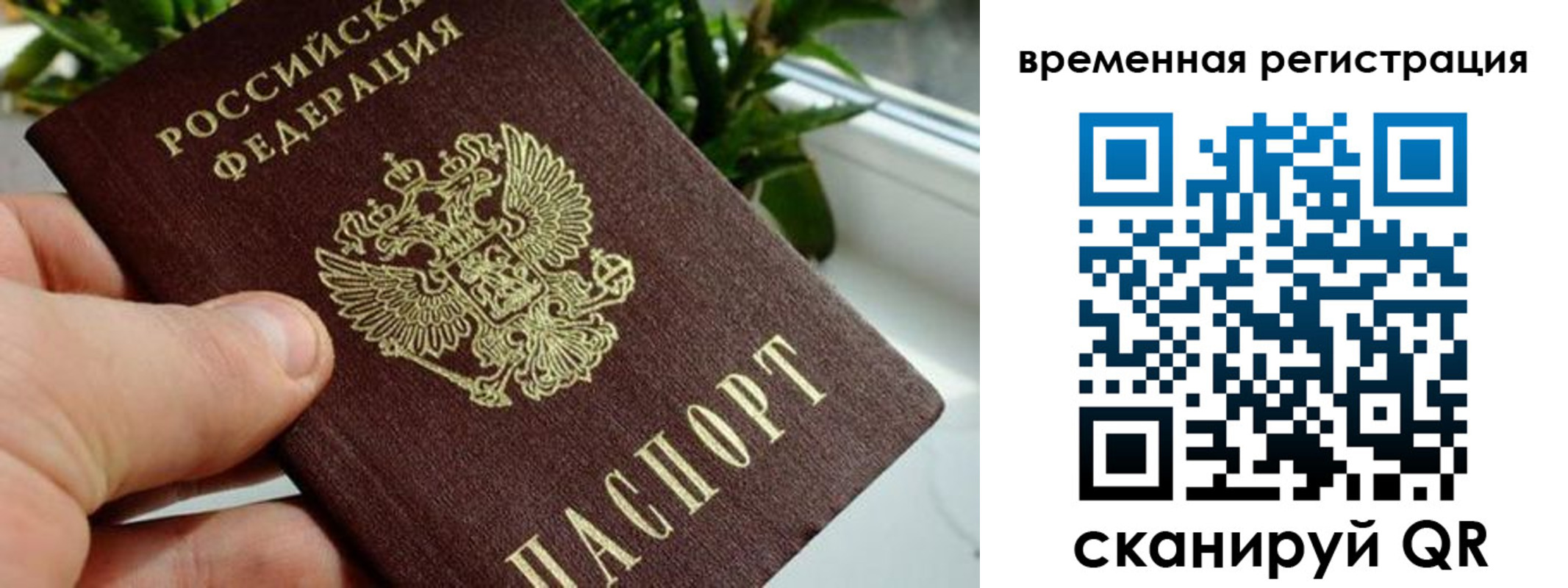 прописка поиск в Черемхово